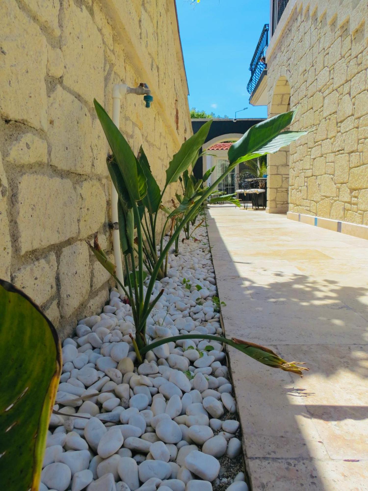 Fedora Otel אלאקאטי מראה חיצוני תמונה