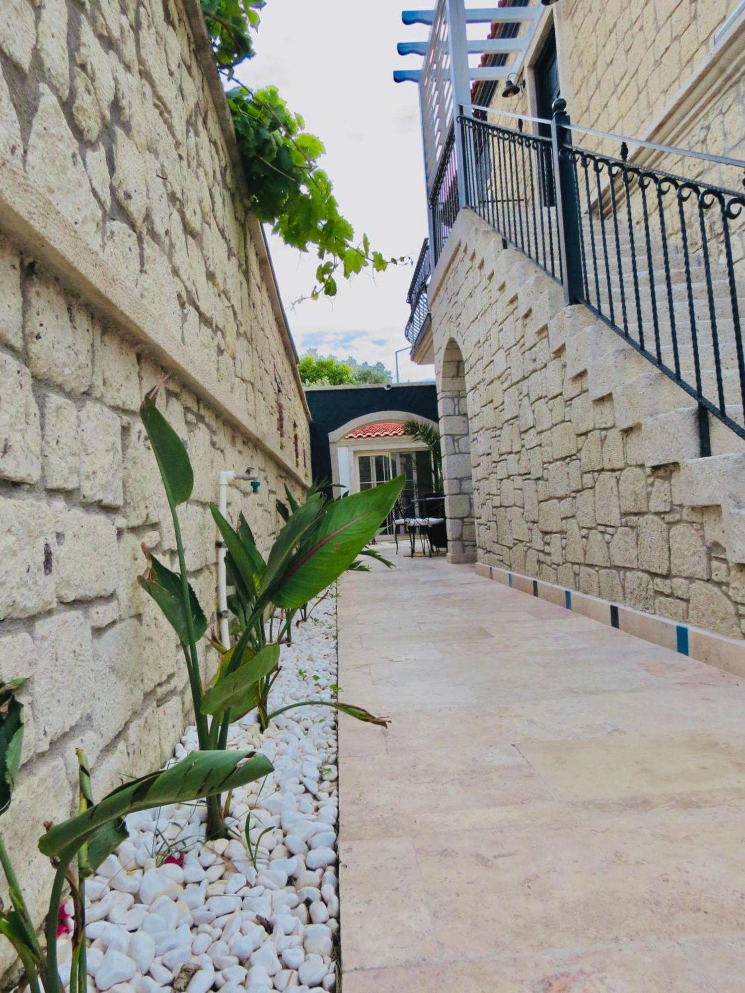 Fedora Otel אלאקאטי מראה חיצוני תמונה